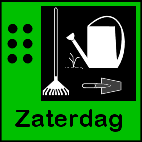 zaterdag